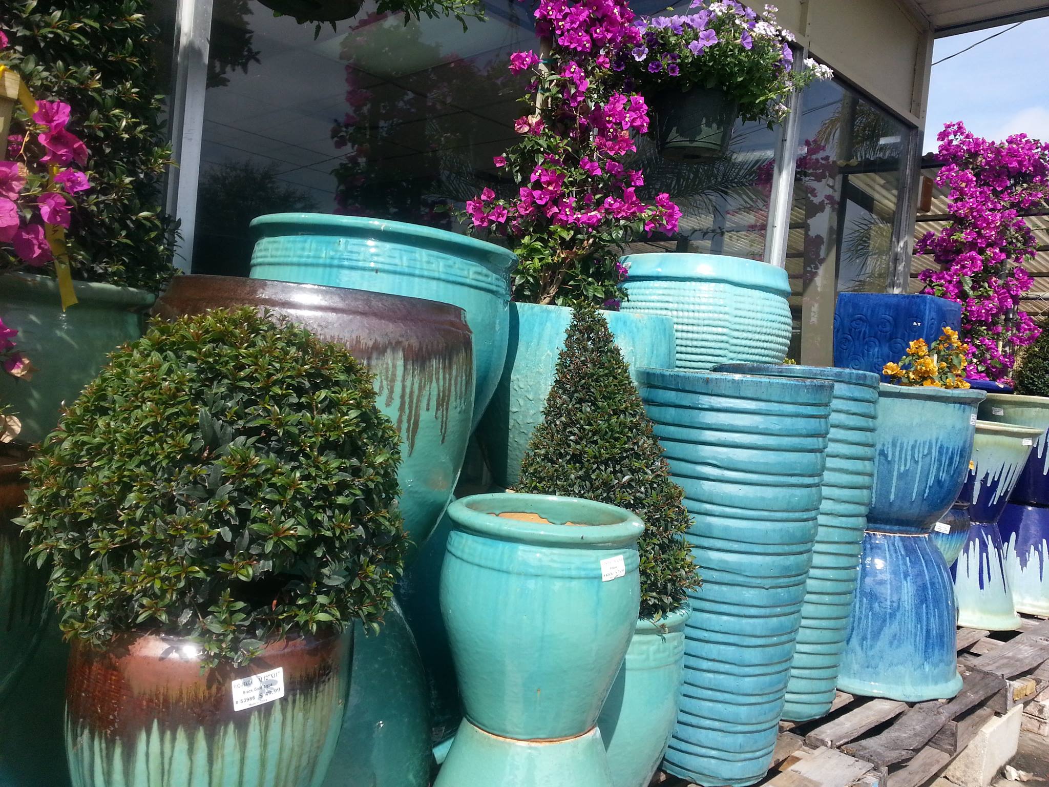 The BEST planter selection in Winter Park, no question!